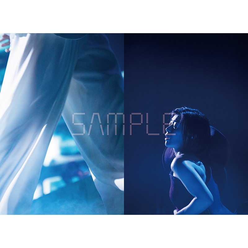 HIKARU UTADA SCIENCE FICTION TOUR 2024 NINE STORIES : 宇多田