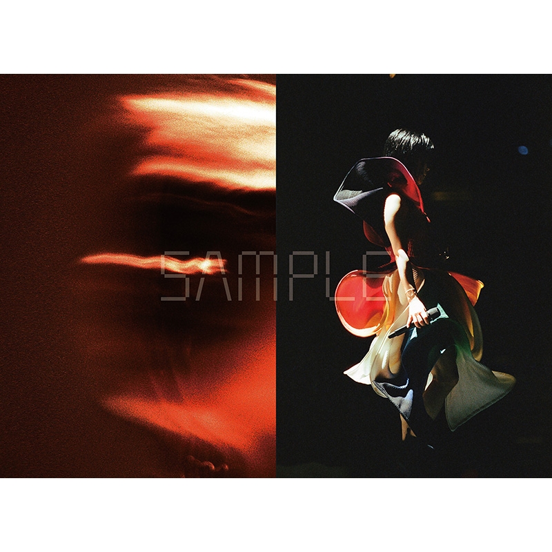 HIKARU UTADA SCIENCE FICTION TOUR 2024 NINE STORIES : 宇多田