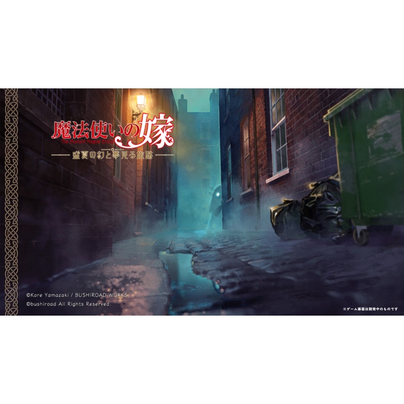 【未開封】【限定版】 魔法使いの嫁 盛夏の幻と夢見る旅路 Amazon.co.jp: 魔法使いの嫁 盛夏の幻と夢見る旅路 限定版