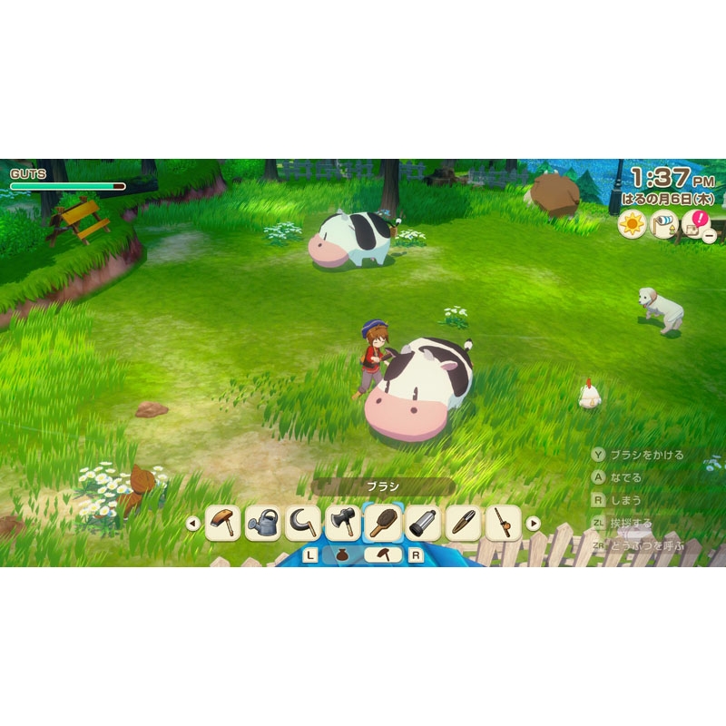牧場物語 Let's！風のグランドバザール Nintendo Switch 2