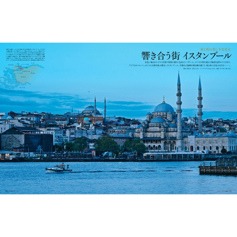 婦人画報 2025年 8月号 ヘラルボニー付録つき特別版サブバッグ