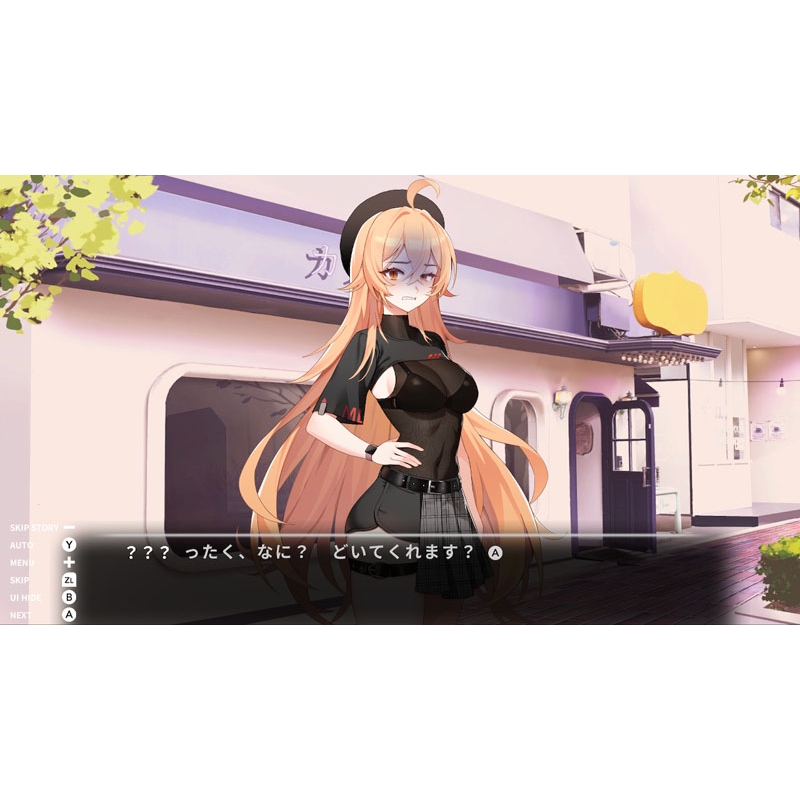 ラブデリバリー ＆ ラブインログイン switch ニンテンドースイッチ Love Delivery & Love in Login [Limited Edition] (Multi