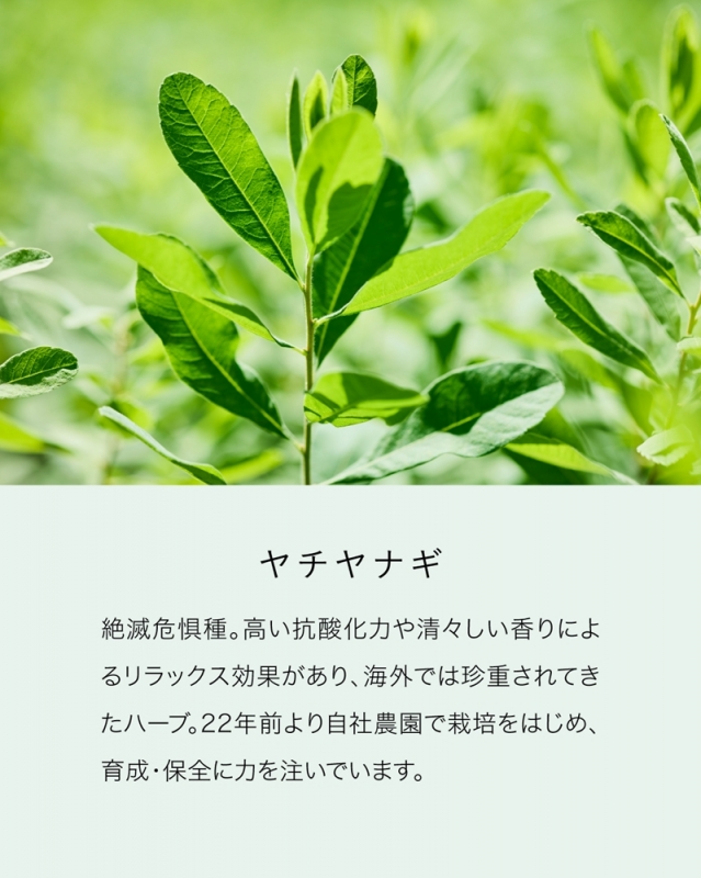 25ans 2025年 10月号×「メゾンレクシア」ラクトブースター 導入