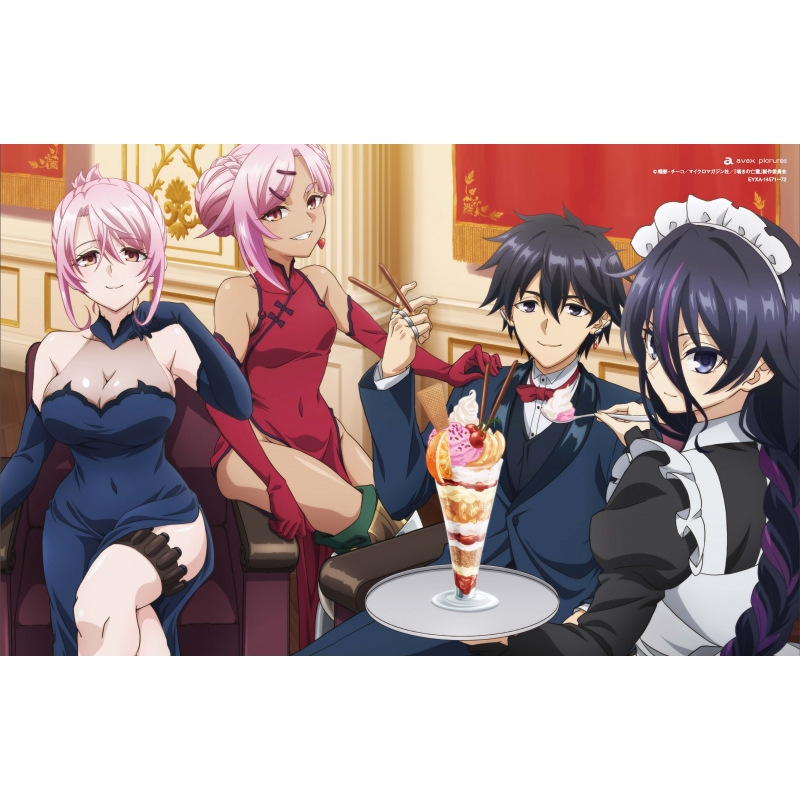 嘆きの亡霊は引退したい Blu-ray 第4巻 : 嘆きの亡霊は引退したい