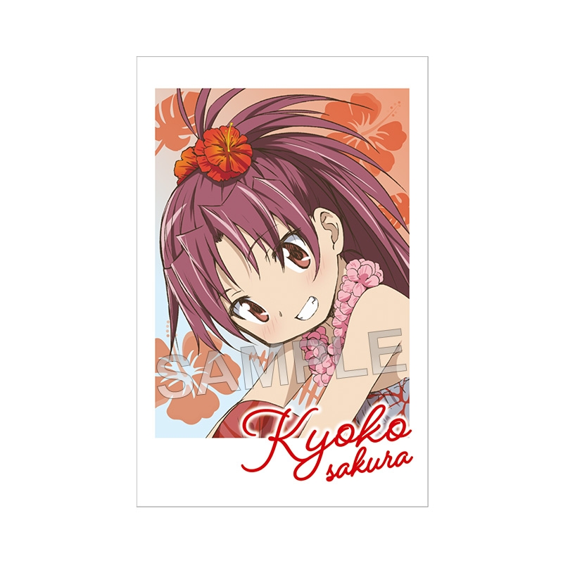 フォト風カード コンプリートセット【@Loppi・HMV限定】 : 魔法少女