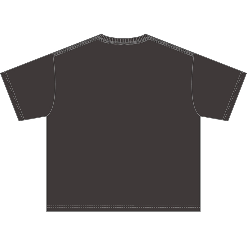 Tシャツ ウォッシュド（黒）Mサイズ / ヤーレンズ単独ライブ2026