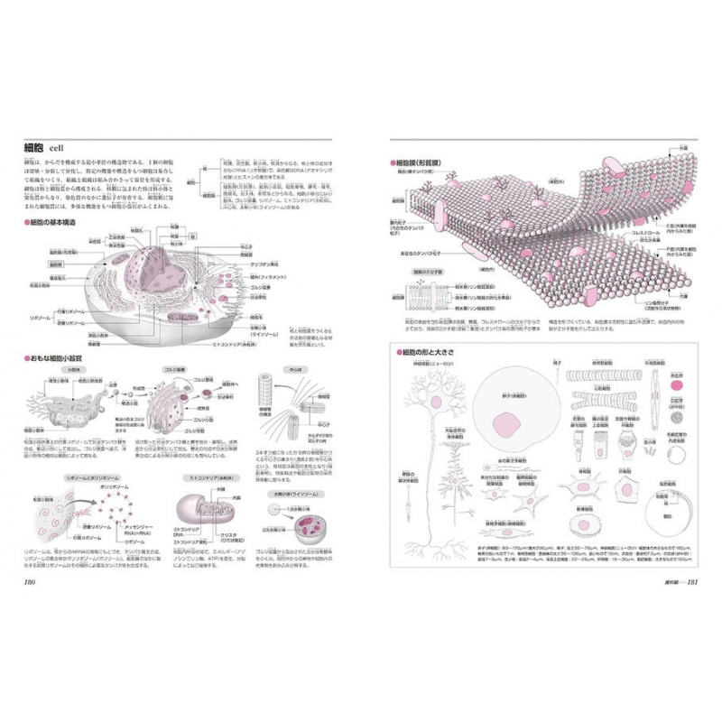 からだの地図帳 : 佐藤達夫 | HMV&BOOKS online - 9784062610254