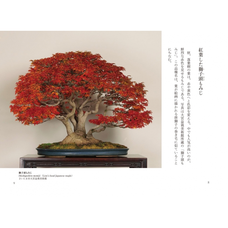 盆栽 Bonsai ジャパノロジー コレクション 角川ソフィア文庫 依田徹 Hmv Books Online