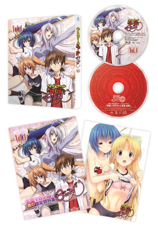新品ケース付 ハイスクールD×D 1期～4期 DVD 全巻セット