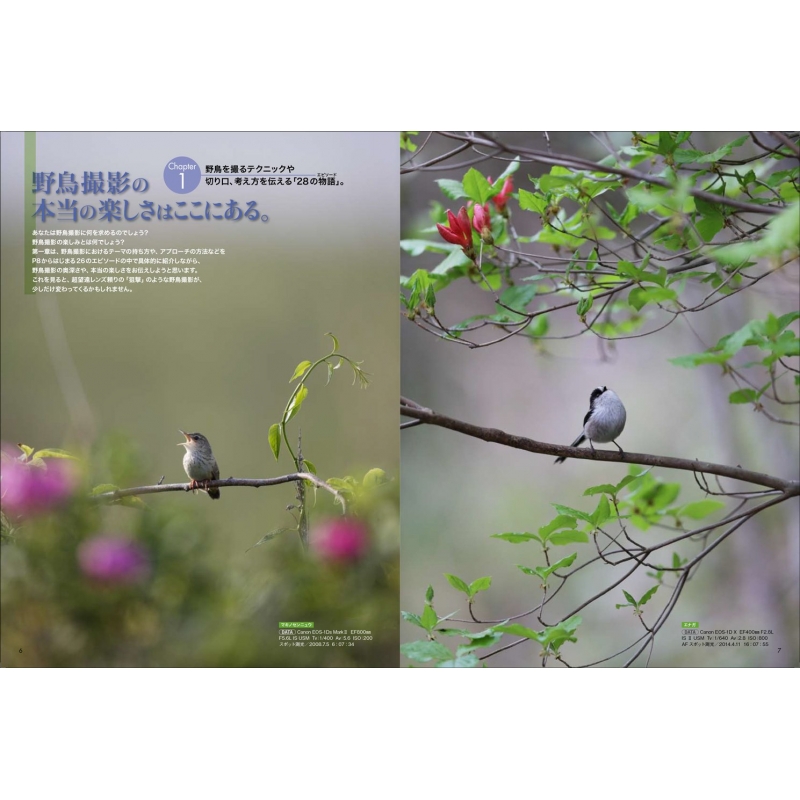 野鳥撮影のバイブル 玄光社mook 和田剛一 Hmv Books Online