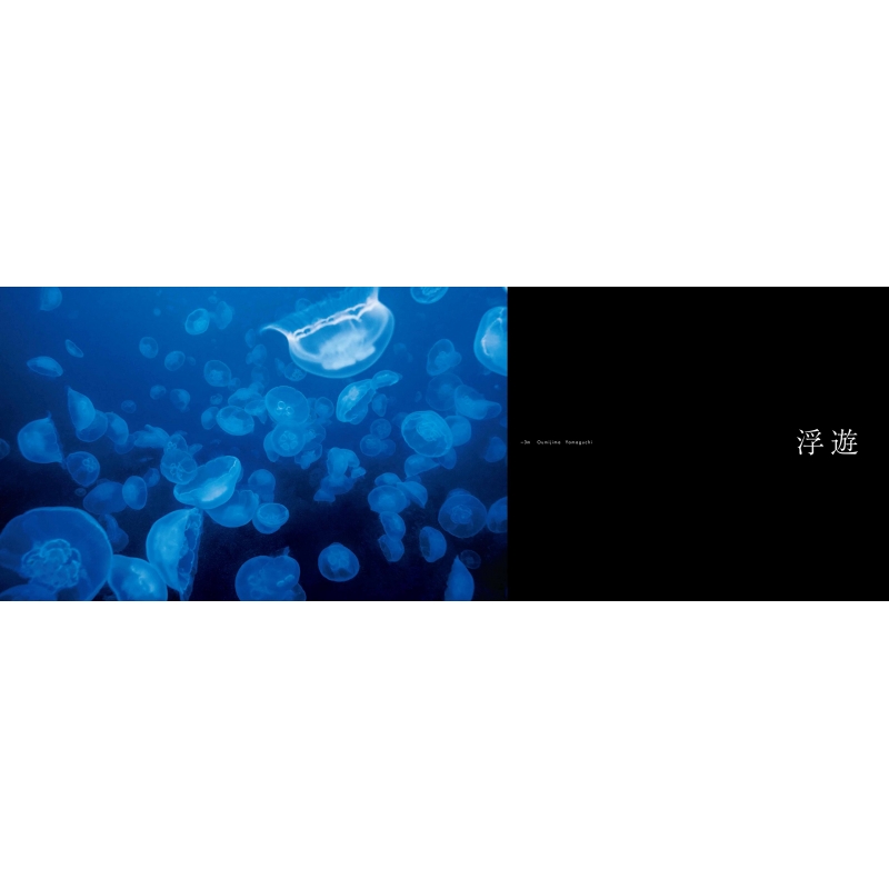 世界で一番美しい海のいきもの図鑑 : 吉野雄輔 | HMV&BOOKS 世界で一番美しい海のいきもの図鑑 : 吉野雄輔 | HMV&BOOKS