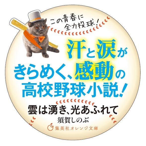 雲は湧き 光あふれて 集英社オレンジ文庫 須賀しのぶ Hmv Books Online 雲は湧き 光あふれて 集英社オレンジ文庫 須賀しのぶ Hmv Books Online