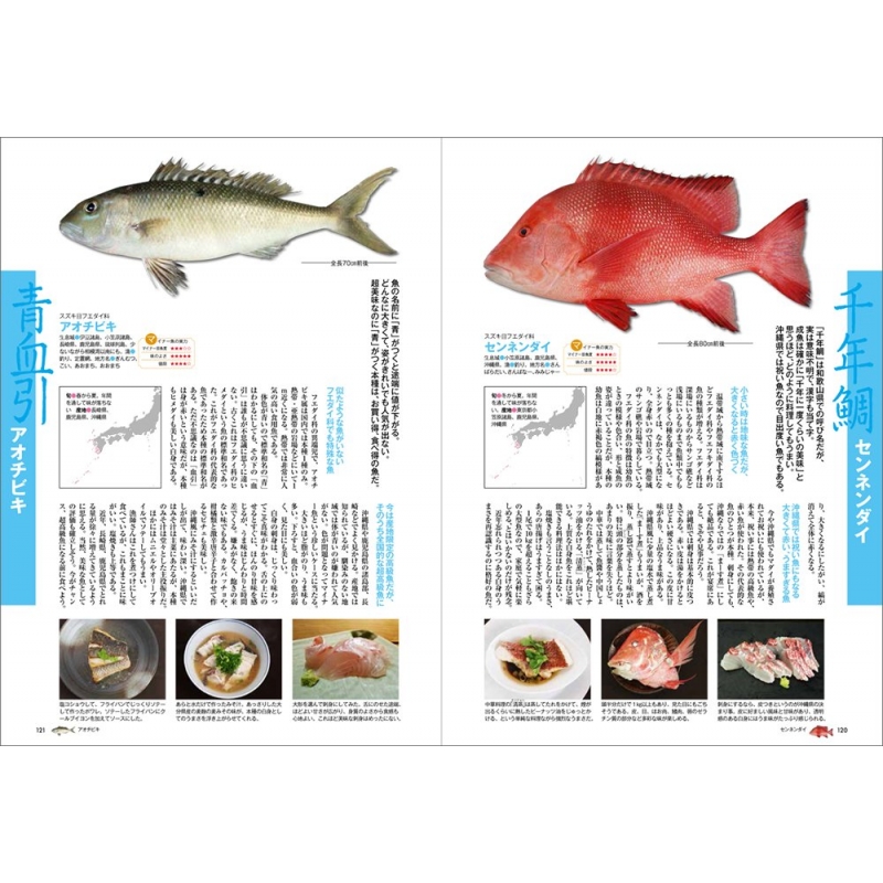 美味しいマイナー魚介図鑑 ぼうずコンニャク 藤原昌高 Hmv Books Online