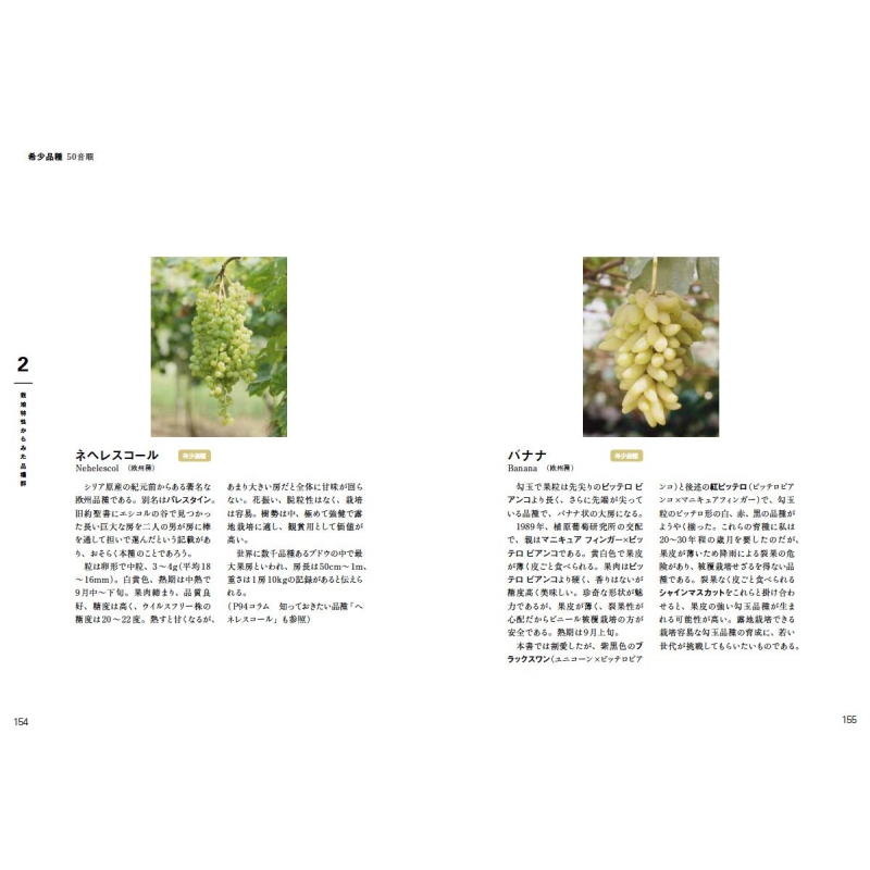 皮革ハンドブック 貴重価値あり かみあわ