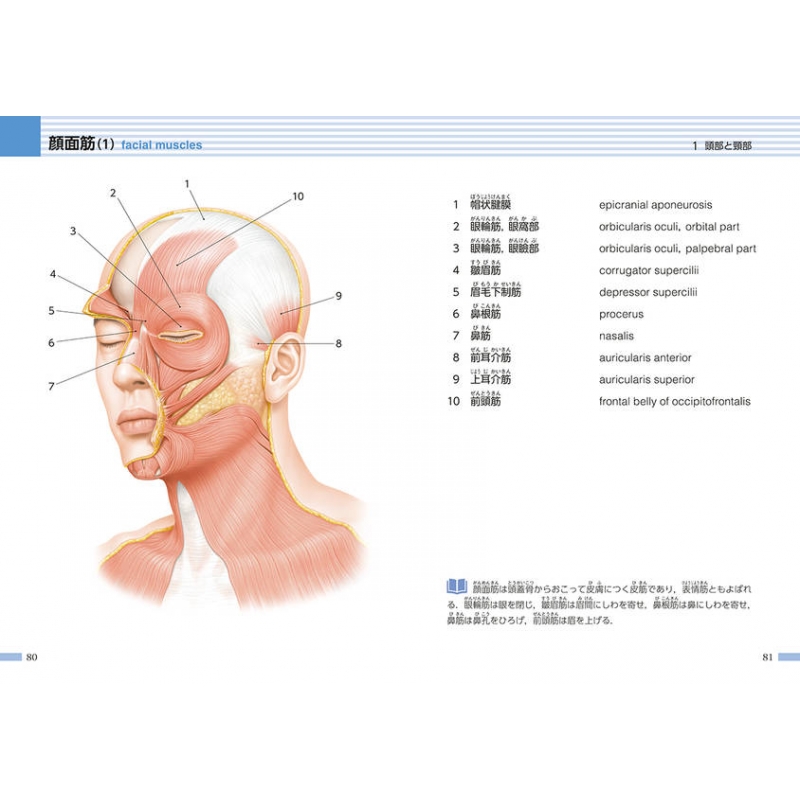 からだの地図帳 解剖学用語 : 佐藤達夫 | HMV&BOOKS online - 9784062610261