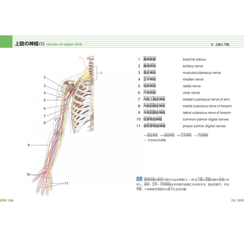 2A3-3【日本人のからだ 解剖学的変異の考察 佐藤達夫、秋田恵一/編】東京大学出版会 - 健康と医学