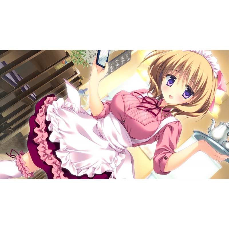 PriministAr -プライミニスター- : Game Soft (PlayStation Vita