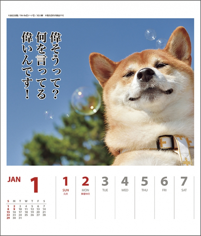 犬川柳 週めくり 17年カレンダー 17年カレンダー Hmv Books Online 17cl353