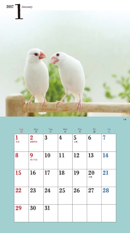17年 ミニカレンダー かわいい小鳥のカレンダー 蜂巣文香 Hmv Books Online