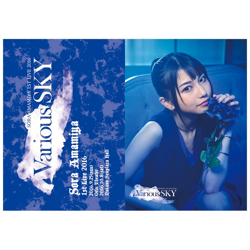 クリアファイルセット 2回目 Various Sky 雨宮天 Hmv Books Online Lp1912