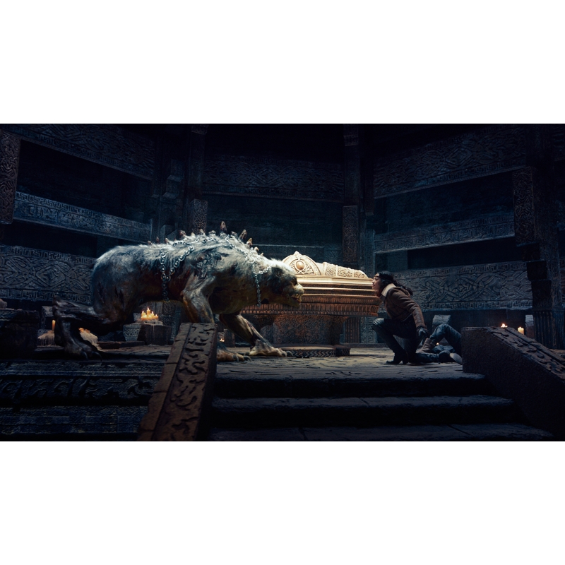 ドラゴン・クロニクル 妖魔塔の伝説 | HMV&BOOKS online - TWDD