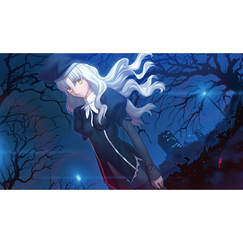 Fate/hollow ataraxia PlayStation Vita the Best : Game Soft