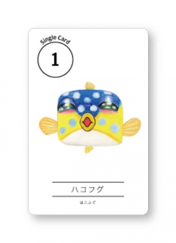 さかなクンとギョギョっとおぼえよう おさかなブック
