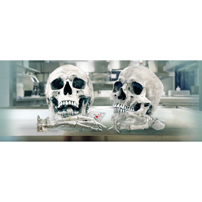 BONES-骨は語る-コンプリートDVD-BOX : Bones: 骨は語る | HMV&BOOKS 