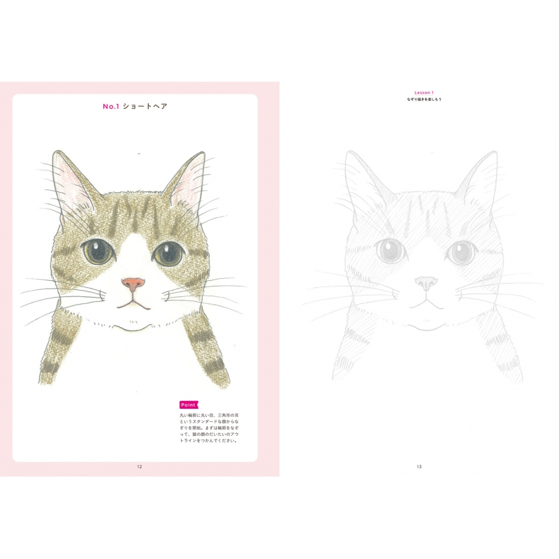 うちの猫を描こう なぞりから始める かわいい猫の描き方 小泉さよ Hmv Books Online