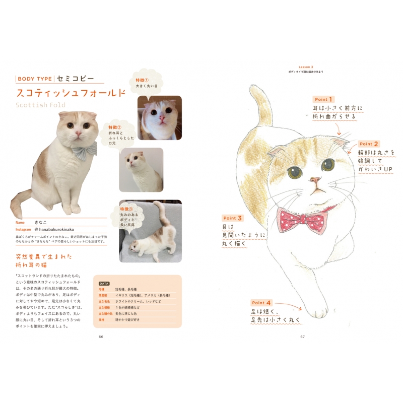 うちの猫を描こう なぞりから始める かわいい猫の描き方 小泉さよ Hmv Books Online