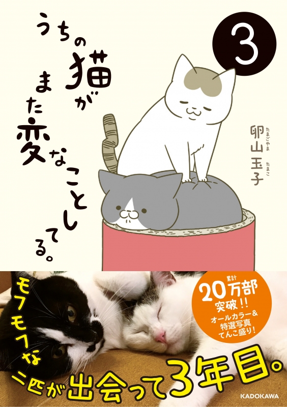 うちの猫がまた変なことしてる。 3 : 卵山玉子 | HMV&BOOKS online - 9784040693828