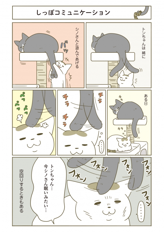 うちの猫がまた変なことしてる。 3 : 卵山玉子 | HMVu0026BOOKS online - 9784040693828