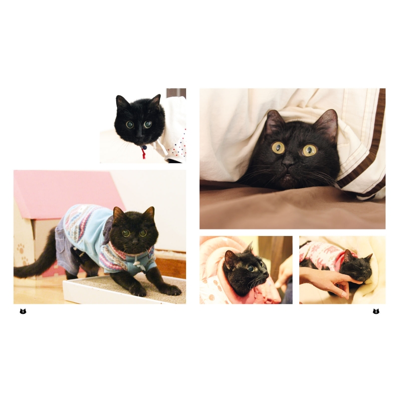 それでも人を信じた猫 黒猫みつきの180日 : 咲セリ | HMV&BOOKS online