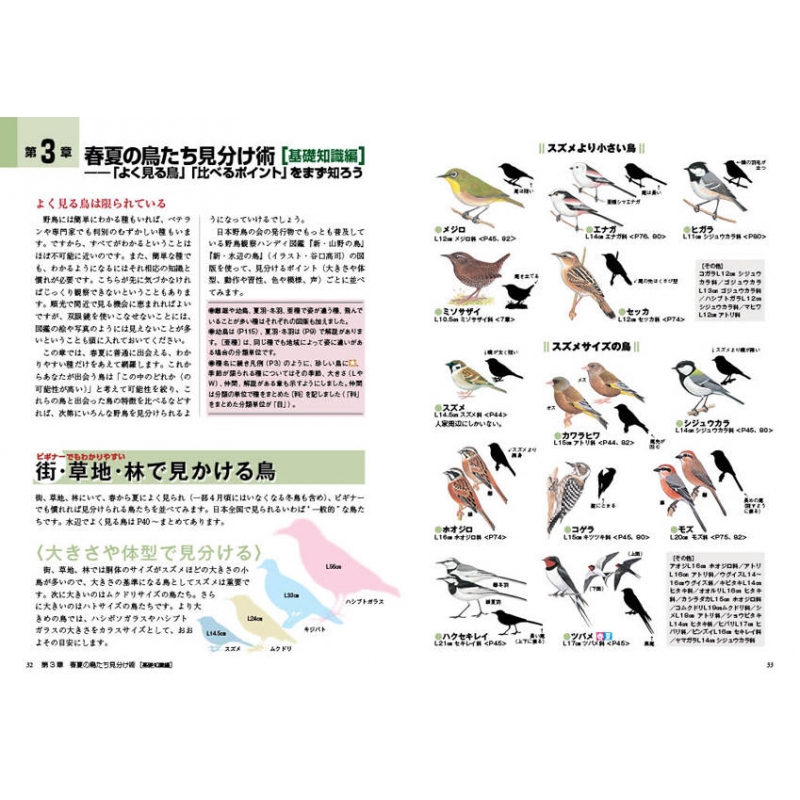 季節の野鳥図鑑 １ 春の野鳥 を見に行こう 安西英明 Hmv Books Online