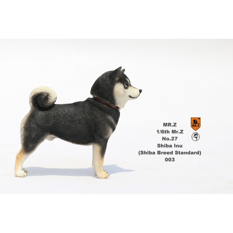柴犬 1/6 フィギュア MRZ027-003 : Accessories (Figure