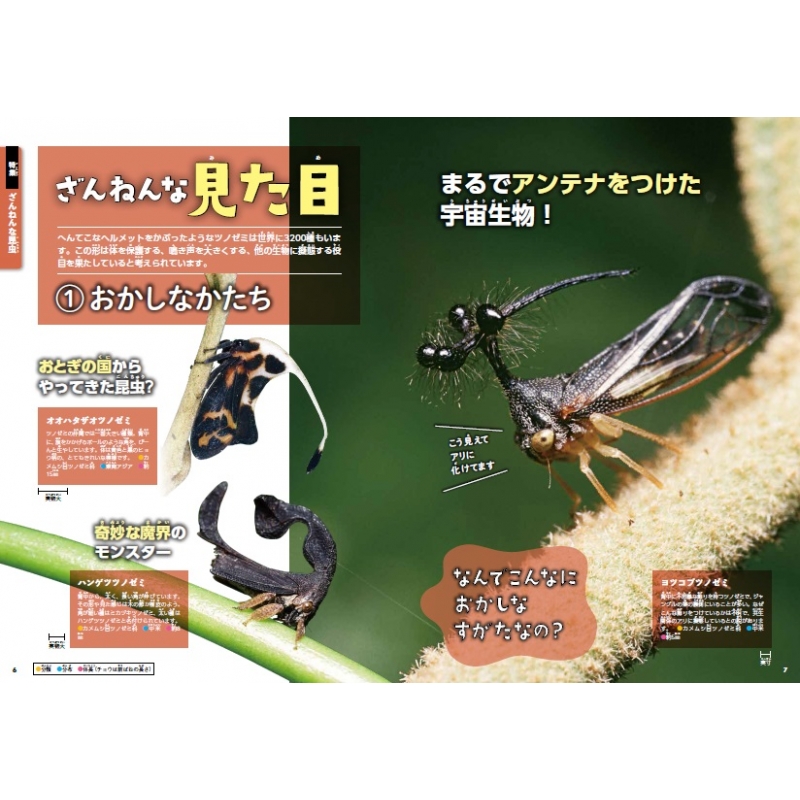 すごい! 昆虫図鑑 TJMOOK : 小野展嗣 | HMV&BOOKS online