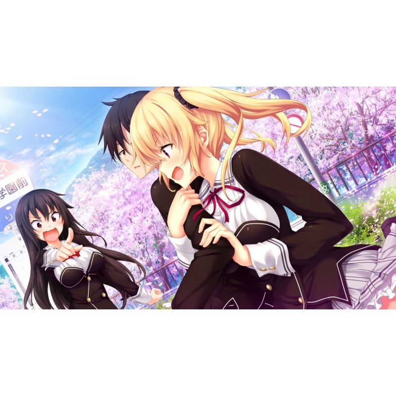 Amazon.co.jp: ノラと皇女と野良猫ハート HD プレミアム版