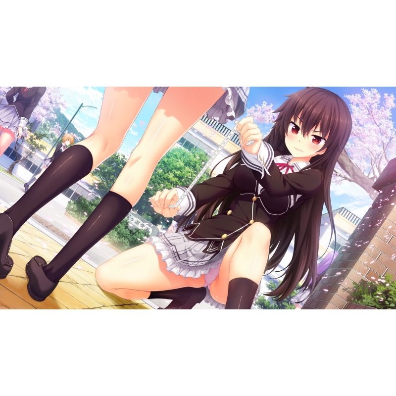 PS4】ノラと皇女と野良猫ハート HD プレミアム版 : Game Soft