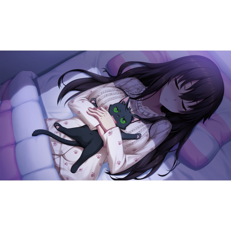 PS4】ノラと皇女と野良猫ハート HD プレミアム版 : Game Soft