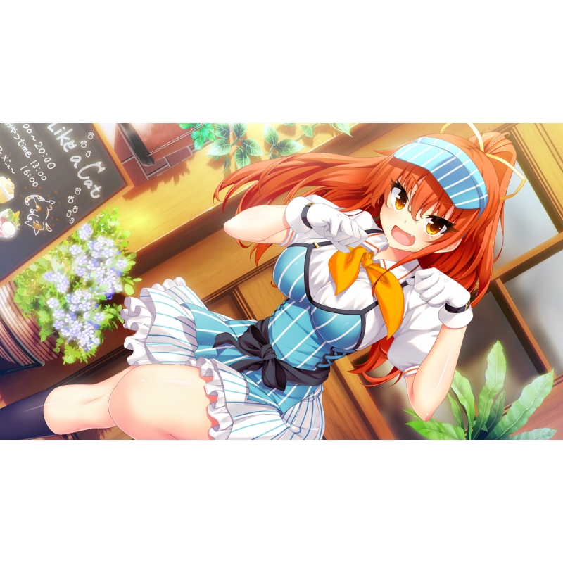 Amazon.co.jp: ノラと皇女と野良猫ハート HD プレミアム版