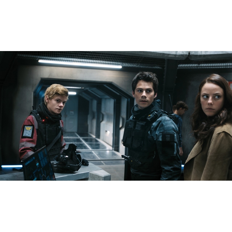 Amazon.co.jp: メイズ・ランナー(2枚組)[4K ULTRA HD + Blu-ray
