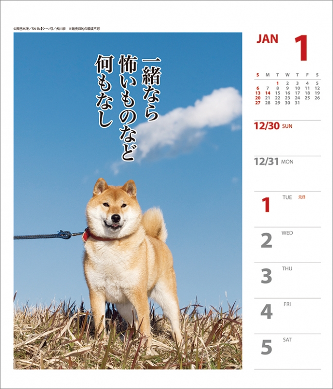 犬川柳 週めくり 19年カレンダー 19年カレンダー Hmv Books Online 19cl363