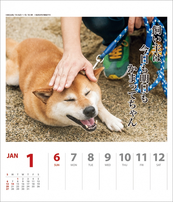 犬川柳 週めくり 19年カレンダー 19年カレンダー Hmv Books Online 19cl363