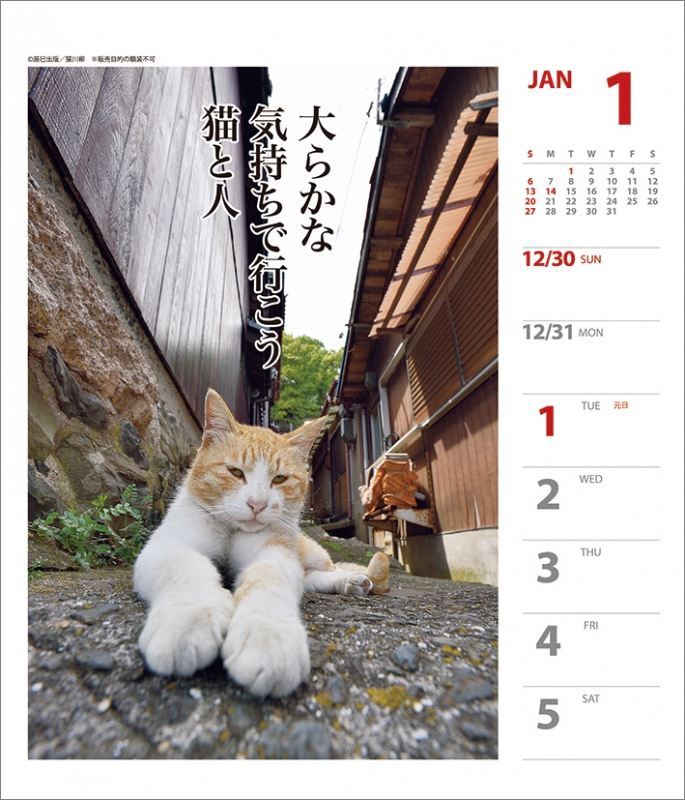 猫川柳 週めくり 19年カレンダー 19年カレンダー Hmv Books Online 19cl364