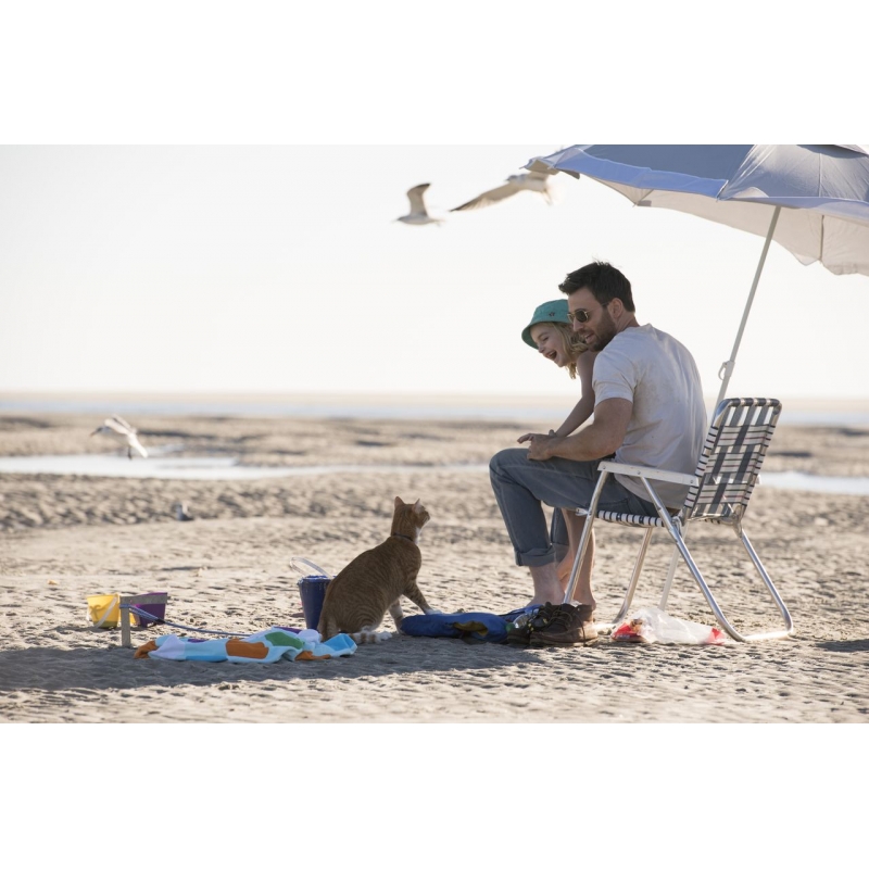 gifted/ギフテッド | HMV&BOOKS online - FXBJP-64832