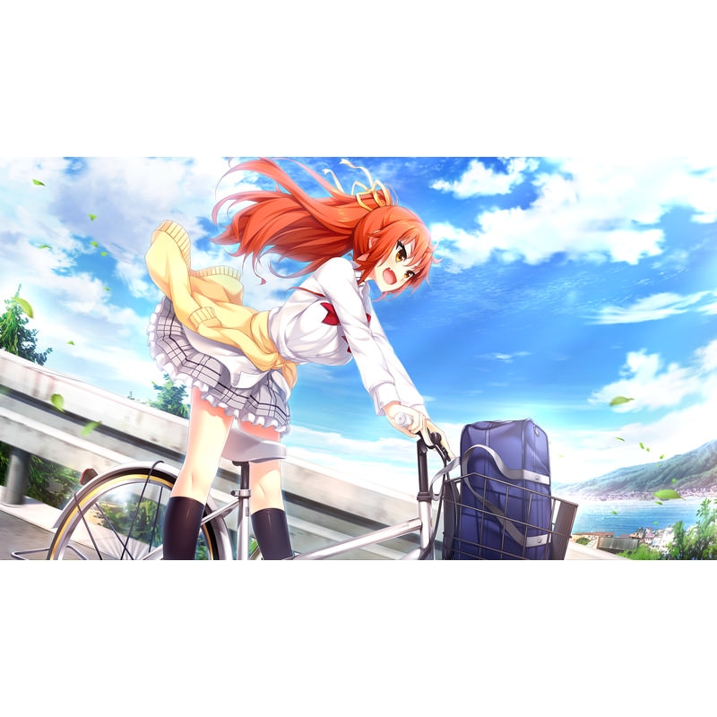 PS4】ノラと皇女と野良猫ハート2 通常版 : Game Soft