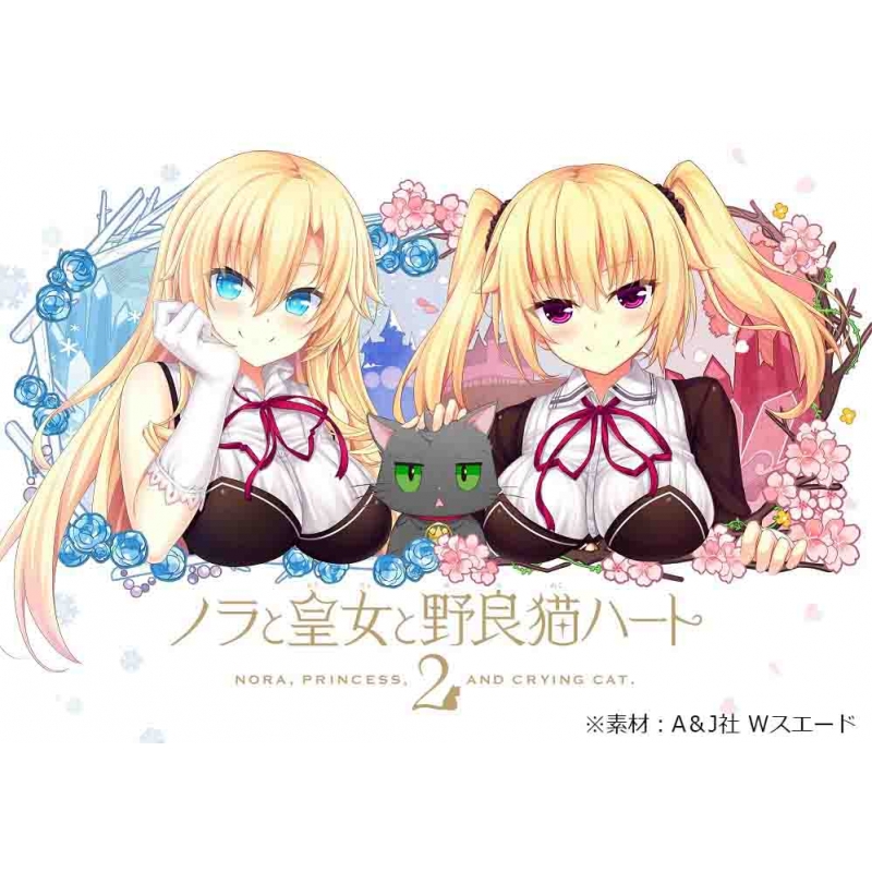 Nintendo Switch】ノラと皇女と野良猫ハート2 B2タペストリー同梱版 
