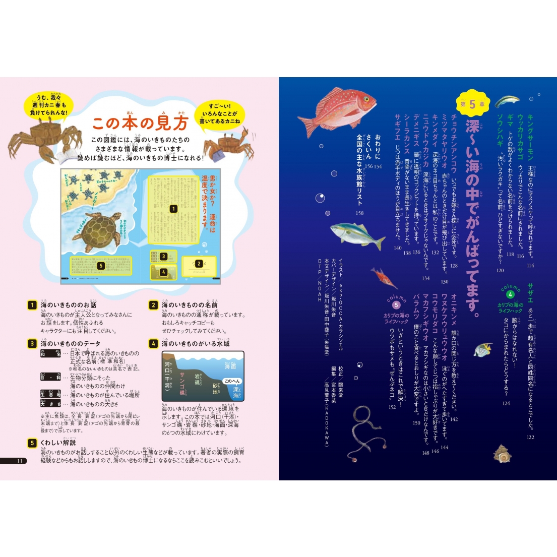 海でギリギリ生き残ったらこうなりました。 進化のふしぎが