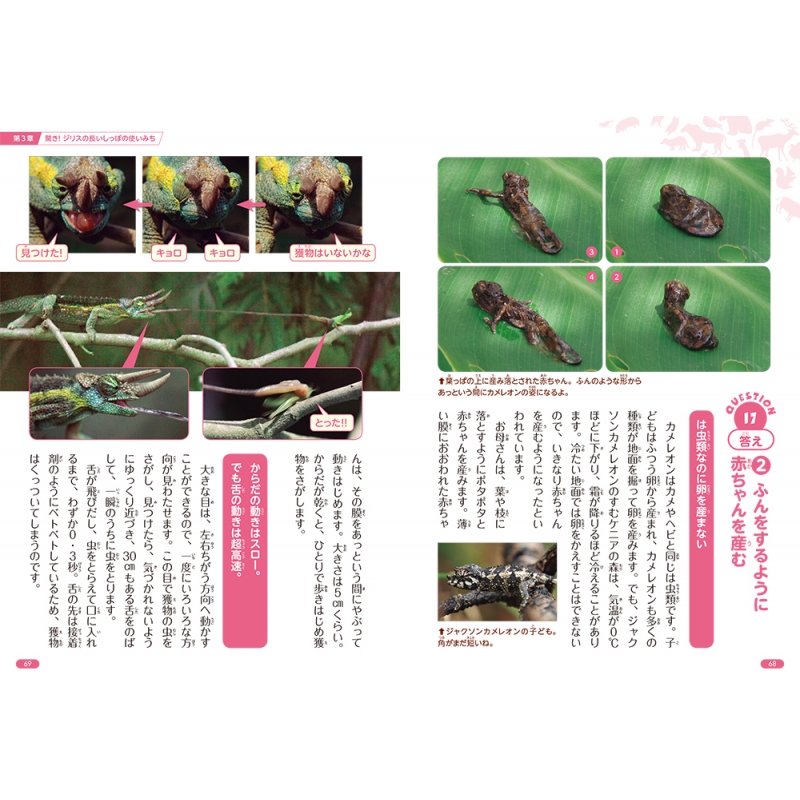 Nhkダーウィンが来た 生きものクイズブック からだのヒミツ編 Nhk ダーウィンが来た 番組スタッフ Hmv Books Online Nhkダーウィンが来た 生きものクイズブック からだのヒミツ編 Nhk ダーウィンが来た 番組スタッフ Hmv Books Online