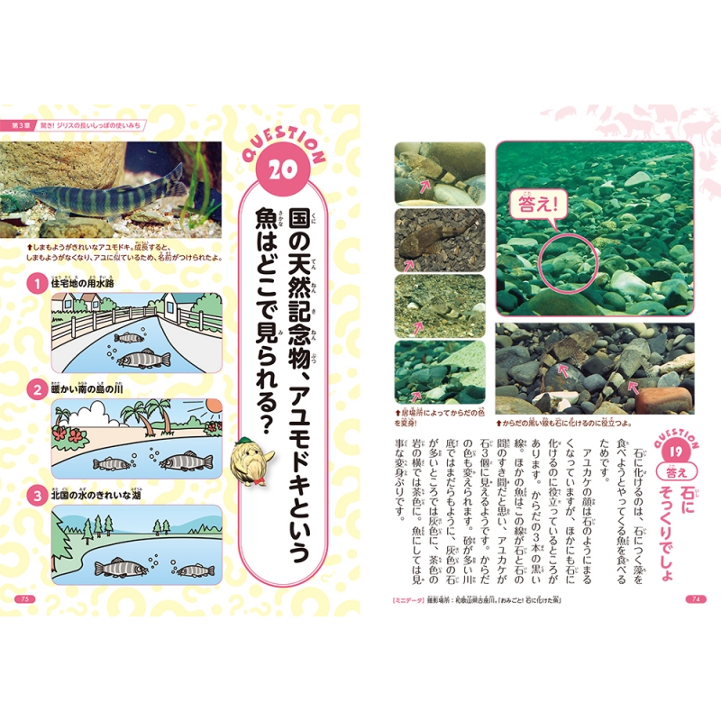 Nhkダーウィンが来た 生きものクイズブック からだのヒミツ編 Nhk ダーウィンが来た 番組スタッフ Hmv Books Online Nhkダーウィンが来た 生きものクイズブック からだのヒミツ編 Nhk ダーウィンが来た 番組スタッフ Hmv Books Online